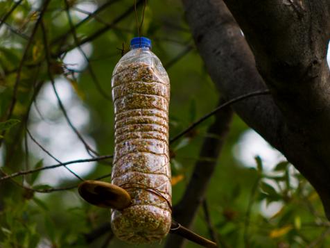 Bird Feeders You Can Make with the Kids