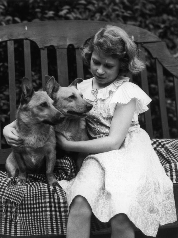 Queen Elizabeth's Corgis Through the Years - Pictures | HGTV