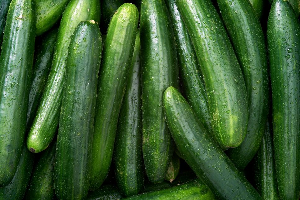 Can You Freeze Cucumbers How To Freeze Cucumbers Hgtv