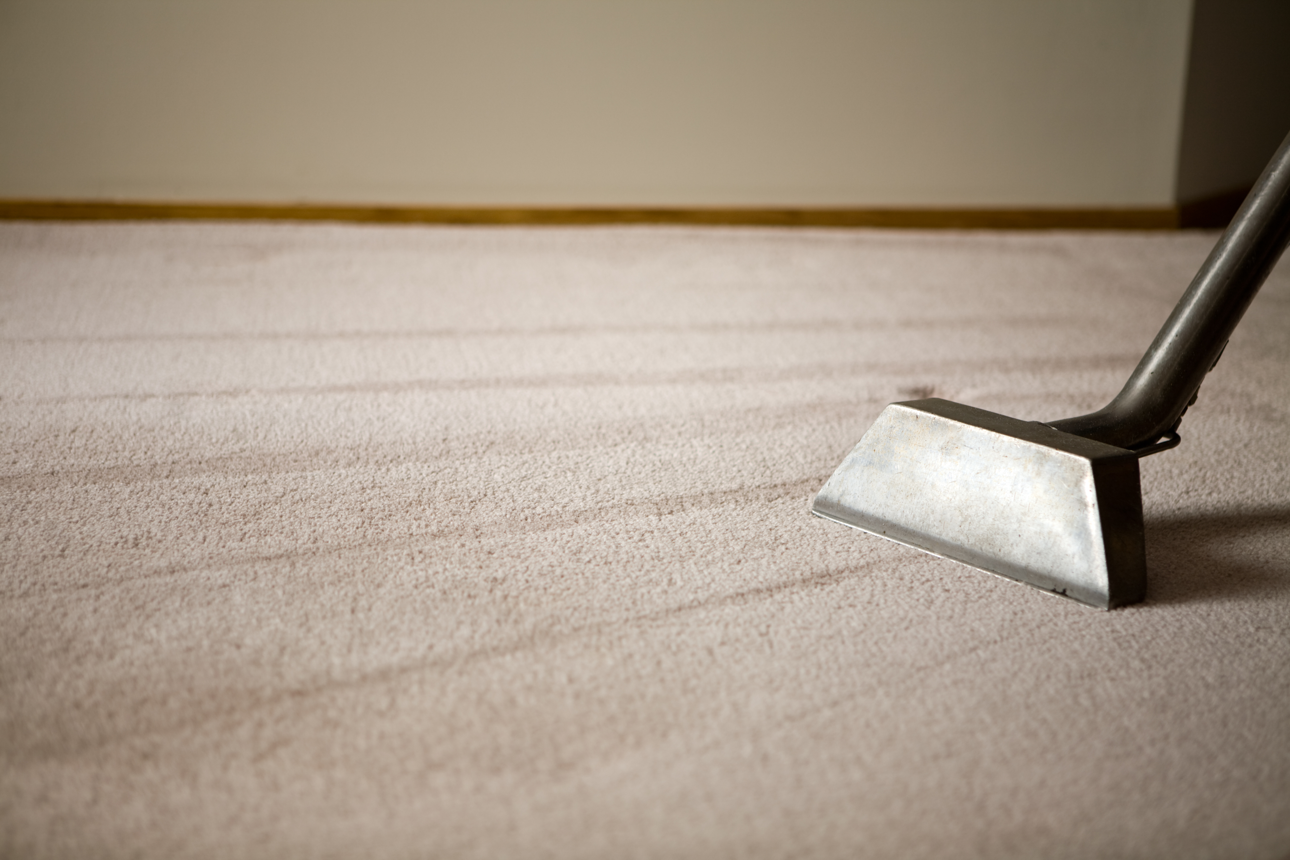 all steam carpet cleaning