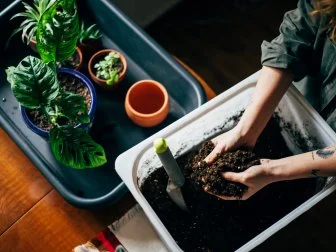 Close up shot of hands working with soil