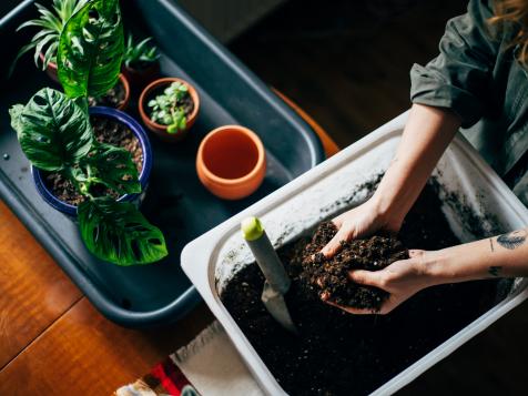 4 Ways to Make Your Own Potting Soil