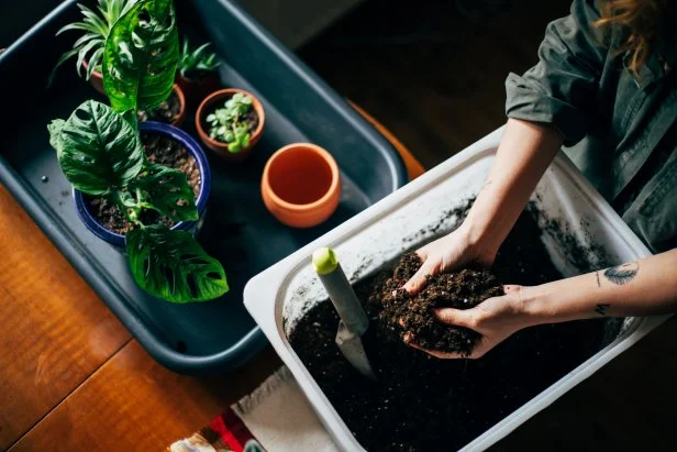 Close up shot of hands working with soil