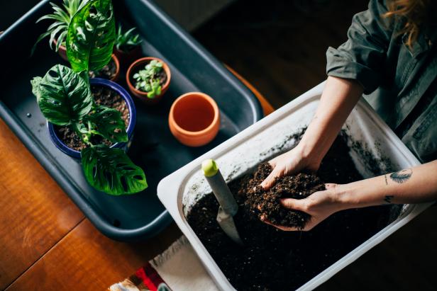 Close up shot of hands working with soil