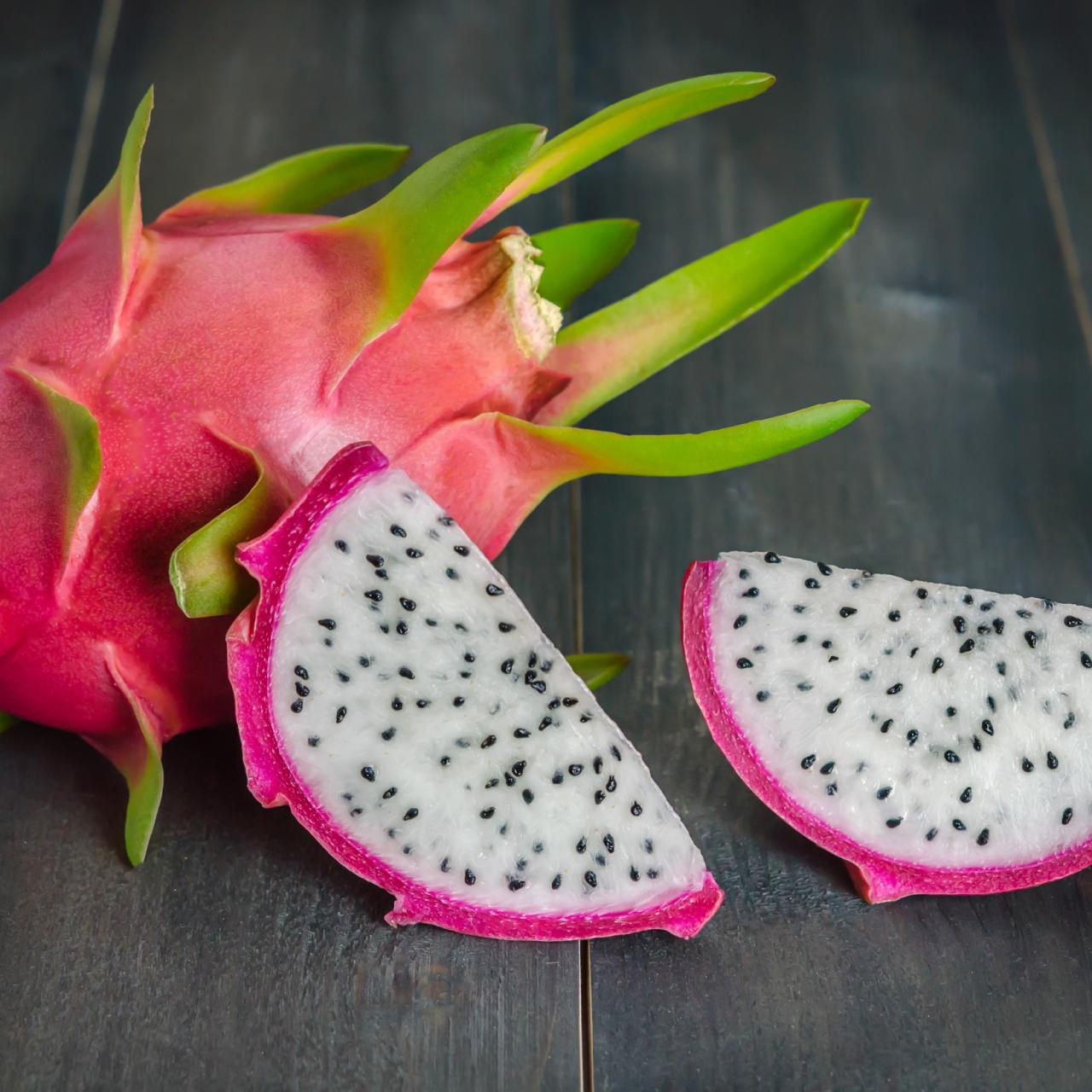 White Dragon Fruit Plant - Fruiting Cactus Vine