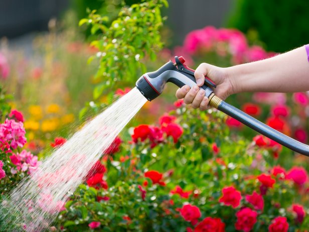 How to Increase Water Pressure in Garden Hose | HGTV