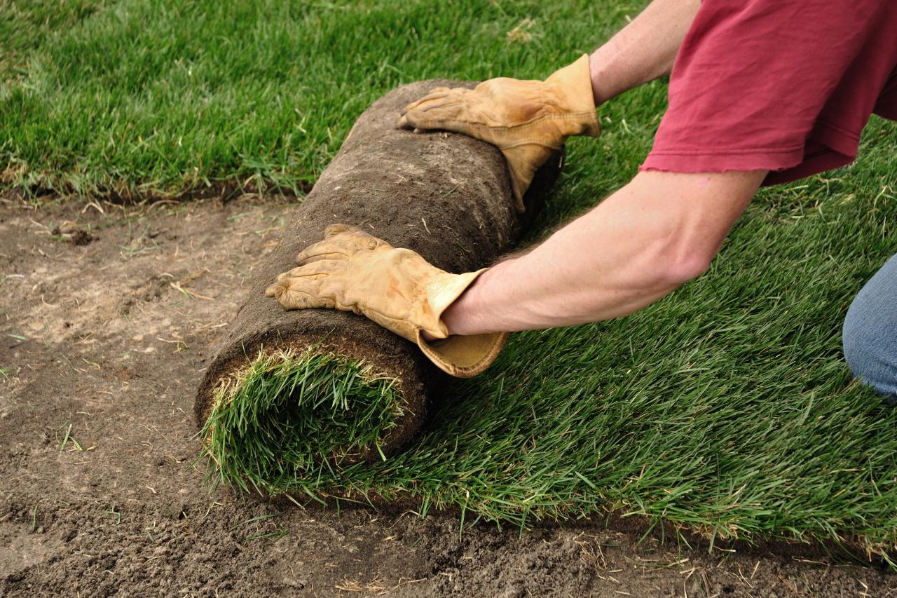 How To Lay Sod On An Existing Lawn Hgtv