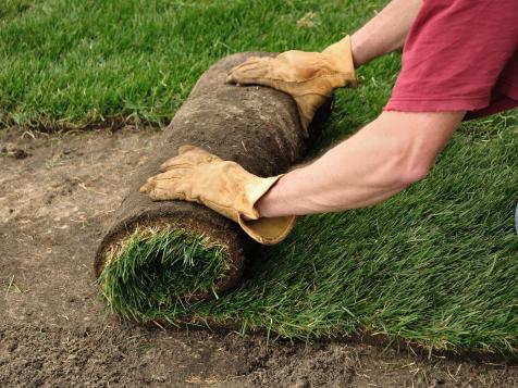 How to Lay Sod Over an Existing Lawn