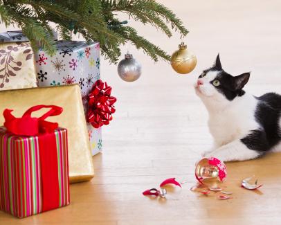 Protecting christmas tree from cheap cats