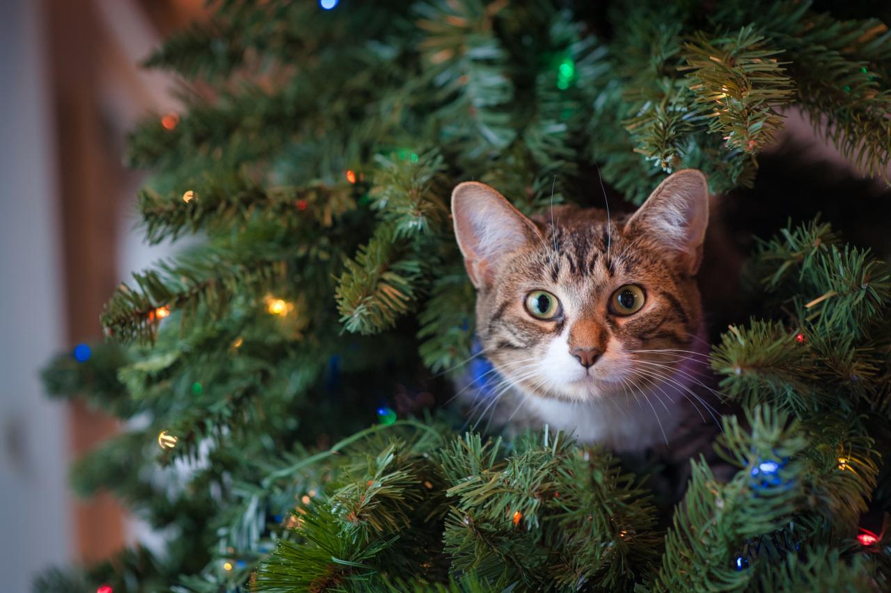 cat christmas tree figurine