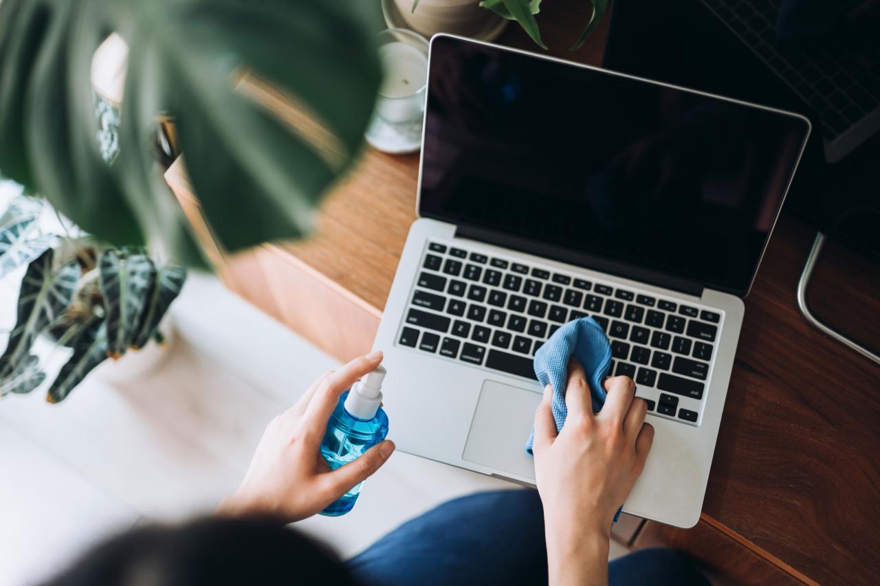 How to Clean a Computer Screen or Laptop Screen  HGTV