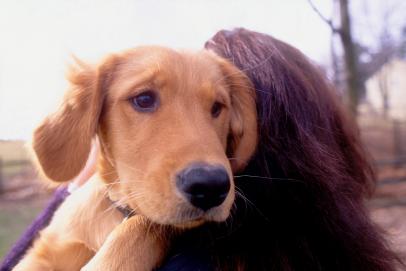 These Dog Anxiety Products Can Help Calm Your Anxious Pup