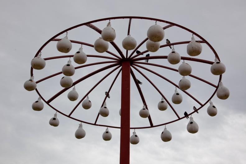 UNITED STATES - MAY 21:  Purple Martin bird gourd houses, Hamilton, Alabama (Photo by Carol M. Highsmith/Buyenlarge/Getty Images)