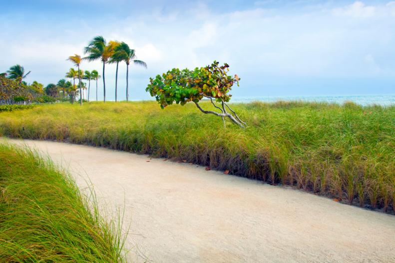 A walking and jogging path along the beach at Bal Harbour, a village in north Miami Beach, Florida.