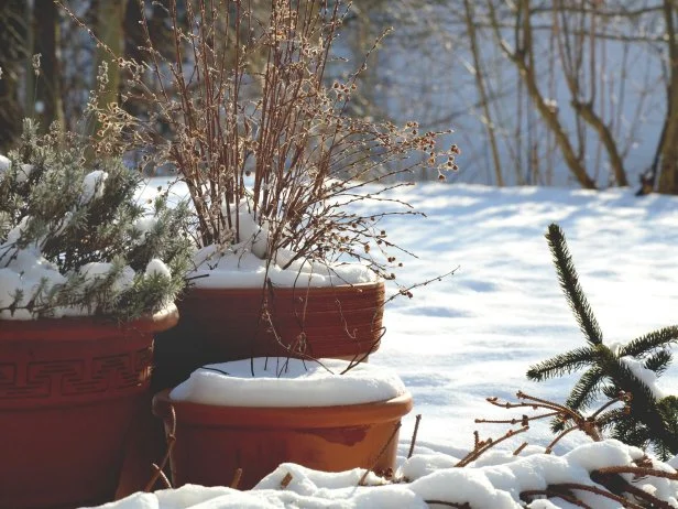 Flower pots in winter covered with snow