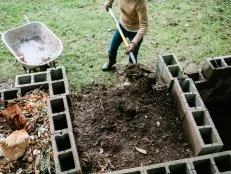 An adult shovels finished compost made from assorted vegetable, fruit, yard clippings, and other things in to a wheelbarrow. The nutrient rich and fertile soil is ready for gardening and planting.  Her chickens snack on some of the fresh food on the surface.   Shot in Washington State, USA.