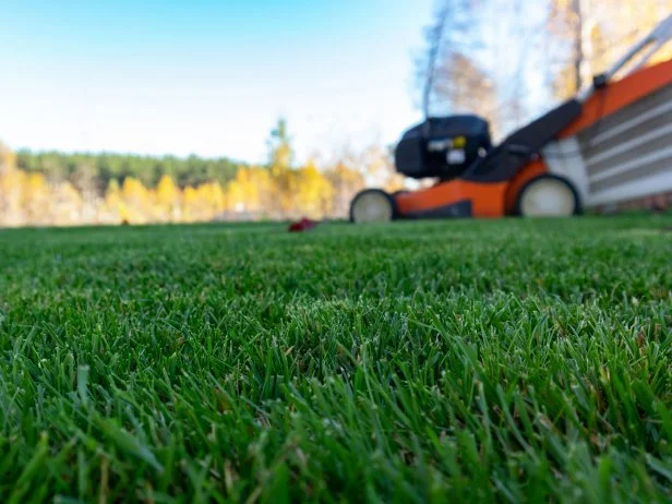 Mistakes to Avoid in Eco Friendly Mowing: Essential Tips for Success