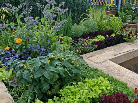 Gardeners Are Obsessed With the Viral 5-4-3-2-1 Method. Here's Why.