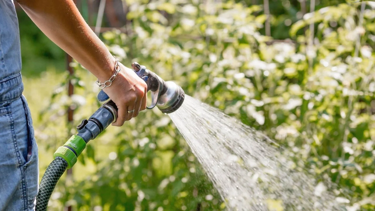 10 Watering Mistakes Professional Gardeners Wish You Knew | HGTV