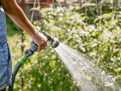 10 Watering Mistakes Professional Gardeners Wish You Knew | HGTV