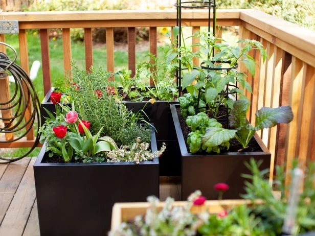 Small-space container garden on a wooden deck with raised planters filled with herbs, leafy greens, flowers, and trellised vegetables, arranged in a dense, layered layout.