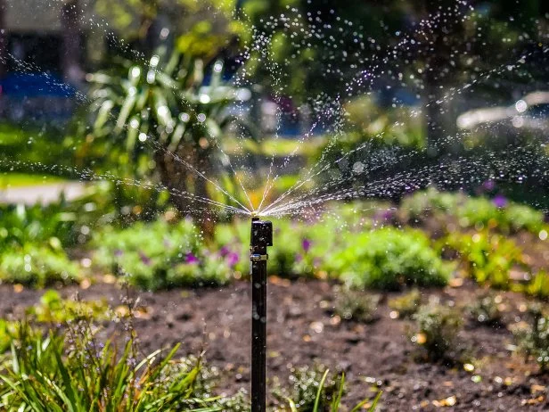 Garden sprinkler spraying water across sunny landscaped flower bed