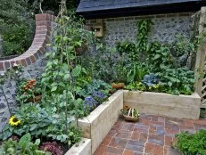 Lush abundance garden in raised wooden beds with densely planted vegetables, herbs, and flowers, featuring trellised climbing plants, leafy greens, and a layered cottage-style layout along a stone wall patio.