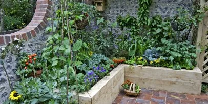 Maximalist Gardening Does the Most in Any Size Space