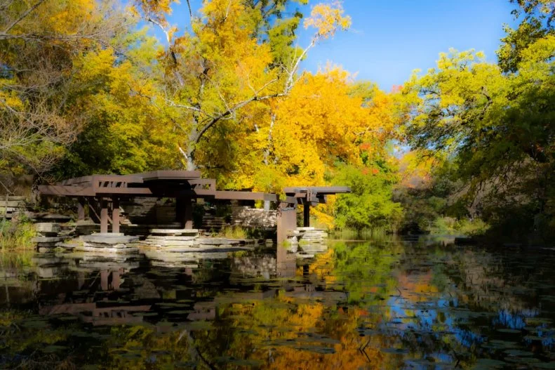 Chicago's Alfred Caldwell Lily Pool in Autumn with a Softened Effect
