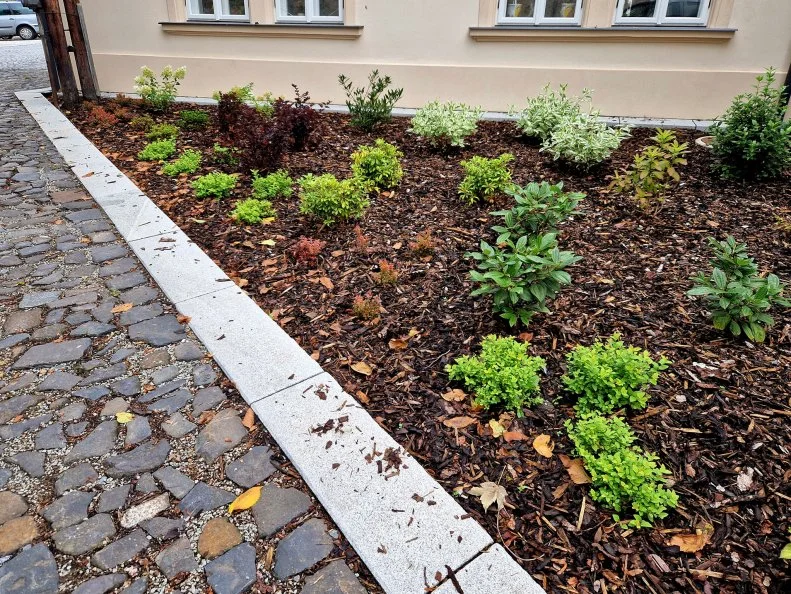 A freshly mulched garden bed with young shrubs of varying colors lining a building and cobblestone path.