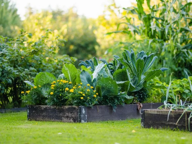 11 Gardening Rules That Are Meant To Be Broken