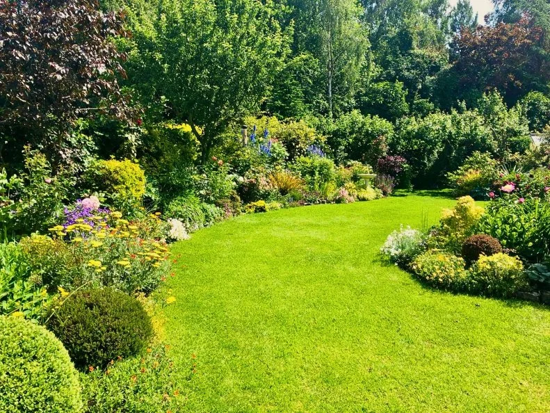 A lush green lawn curving between vibrant, densely planted flower borders under tall trees.