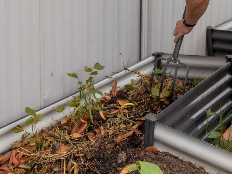 person removing weeds from raised garden bed