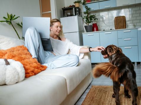 The 5 Most Welcoming Cities for Renters with Pets, According to Zillow
