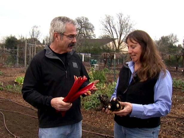 Gardening by the Yard | HGTV
