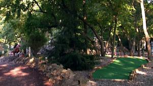 Backyard Golf Course