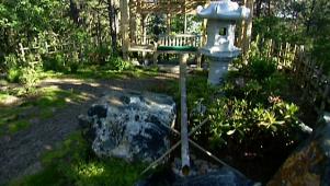Spiritual Japanese Backyard