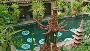 Exotic Temple-Style Zen Pool