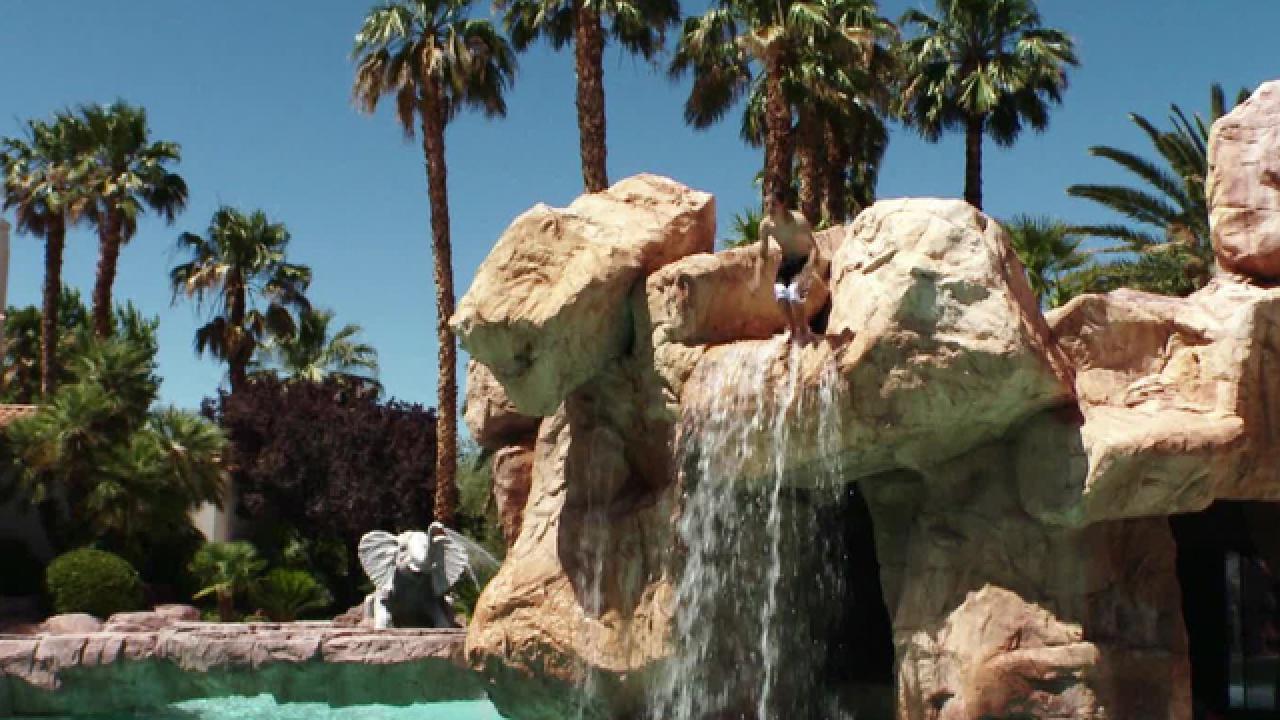 Spectacular Las Vegas Pool