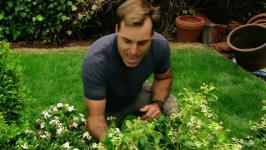 Coastal Landscaping Ideas Video | HGTV Coastal Landscaping Ideas Video | HGTV