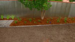 Basic Backyard Landscaping Tips