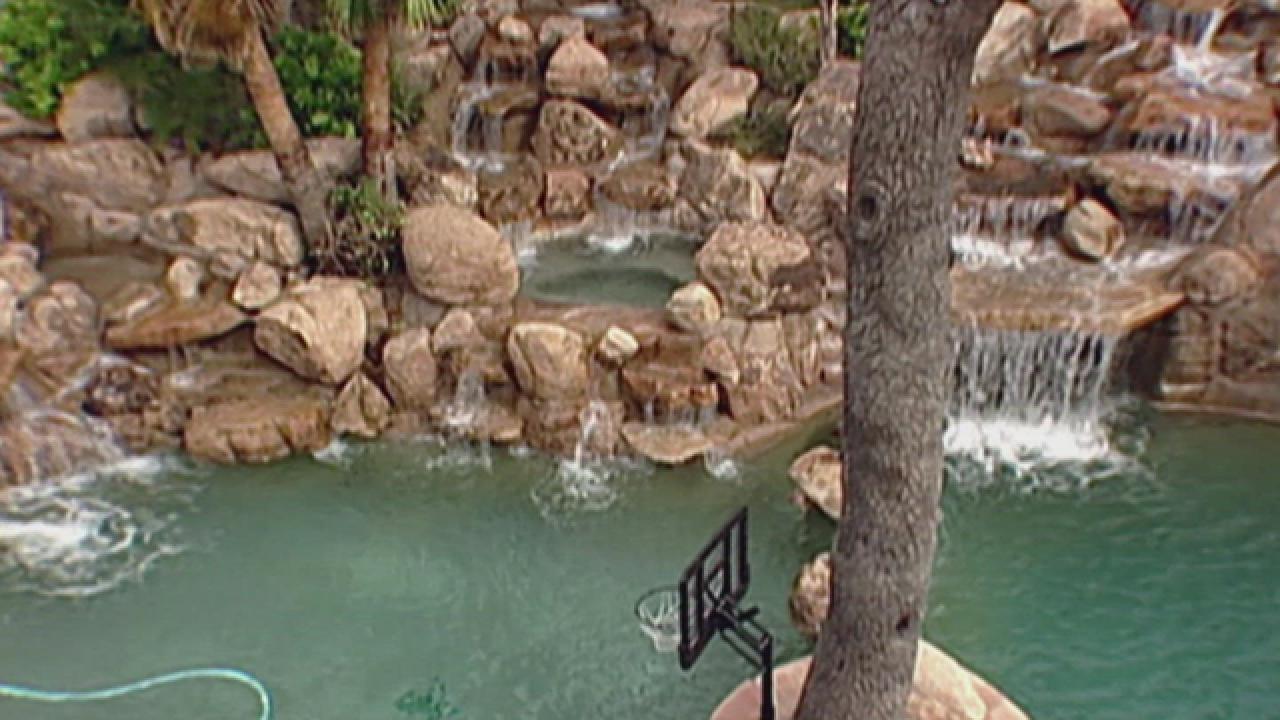 Tarzan-Inspired Swimming Pool