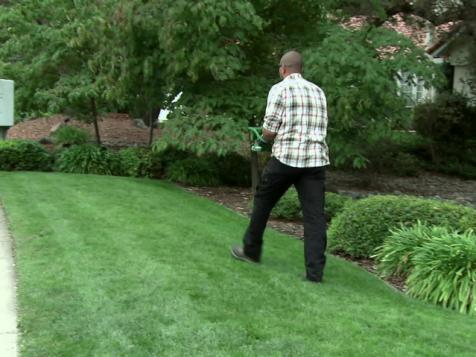 Green Lawn Maintenance Tips