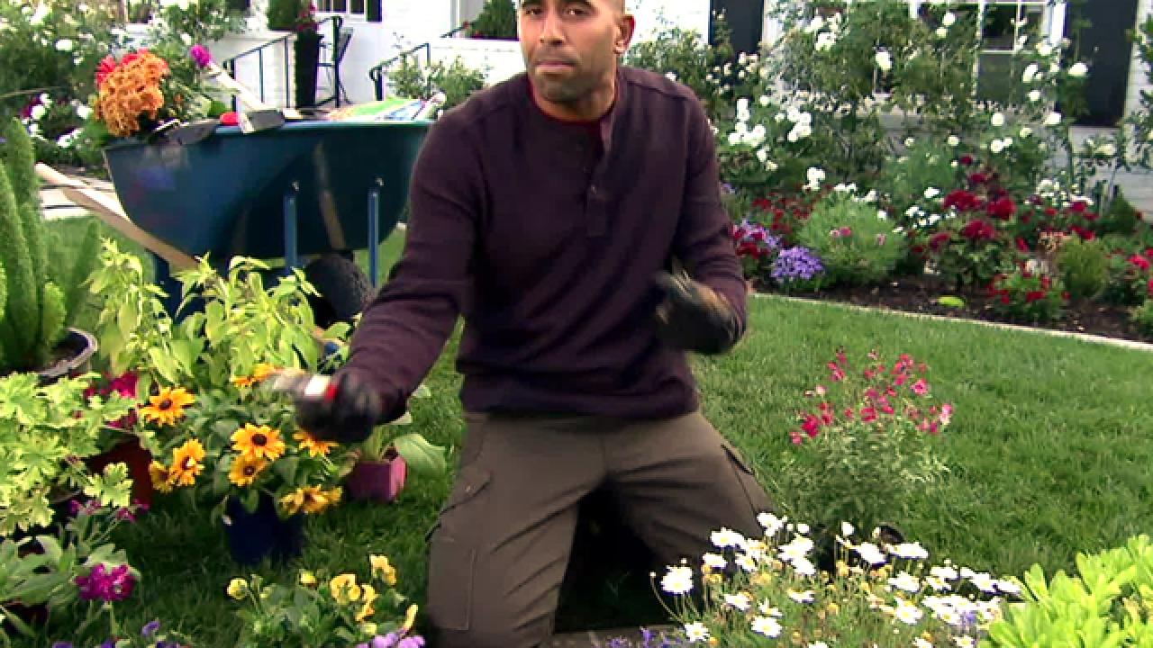 Gardening Tips For Beginners Hgtv