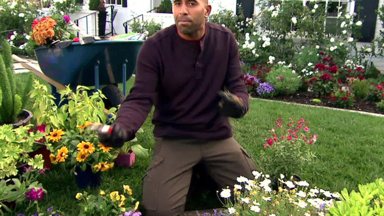 Watch: Gardening Tips for Beginners