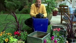 Container Gardening Tips