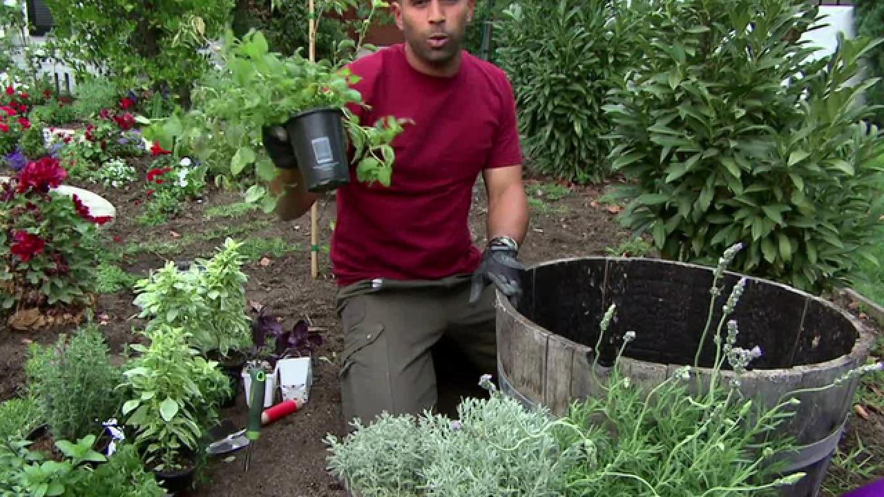 Tips: Herb Gardening