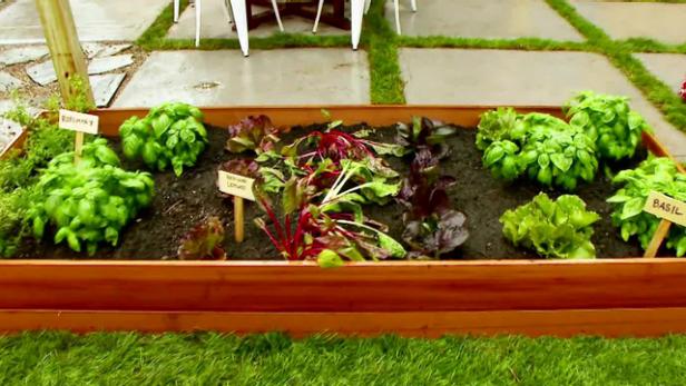 How to Build a Raised Bed Garden Video HGTV