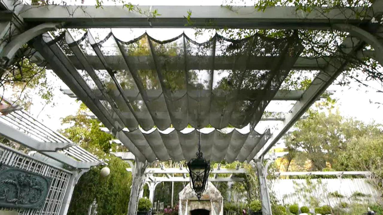 Use Vines in Shade Structures