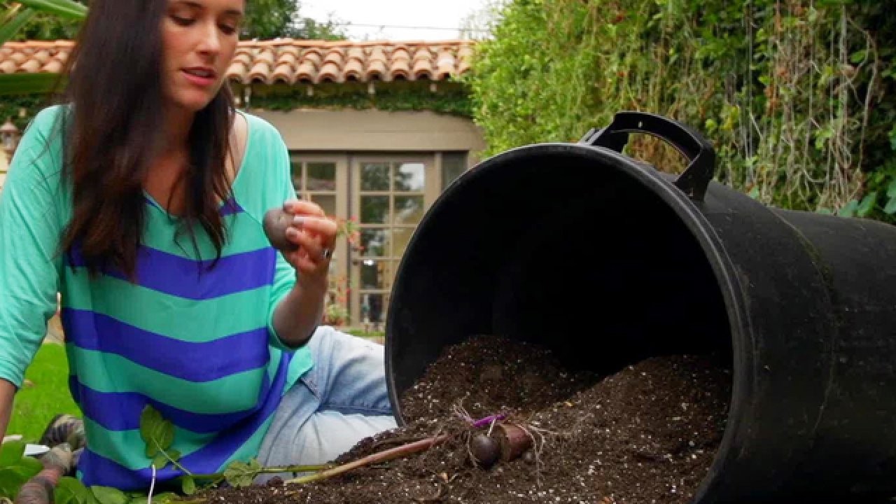 How to Grow Purple Potatoes in Containers